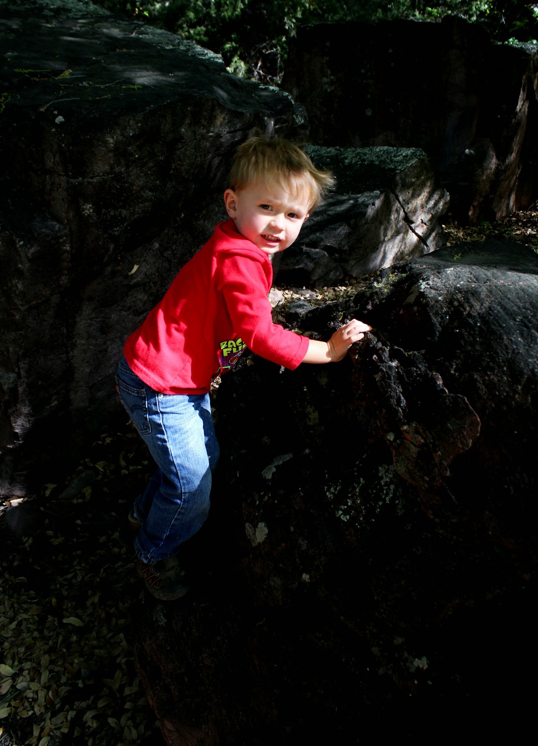 IMG_3642.JPG height=640